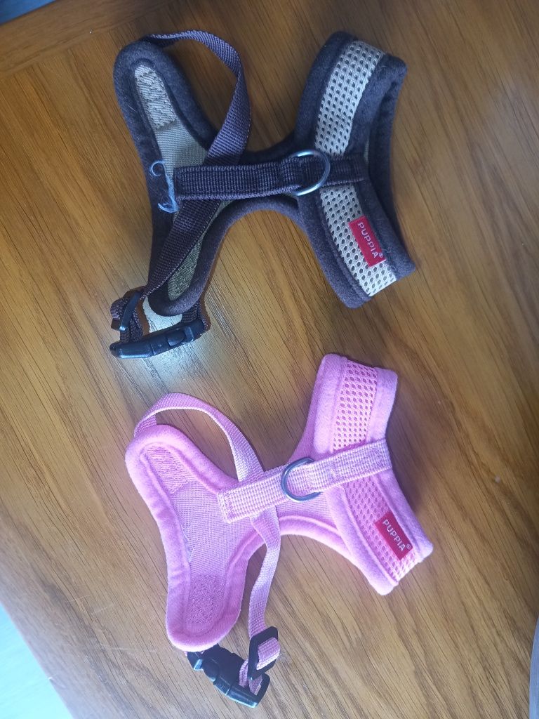 Dois arnês da marca Puppia XS, para cachorros muito pequenos.
