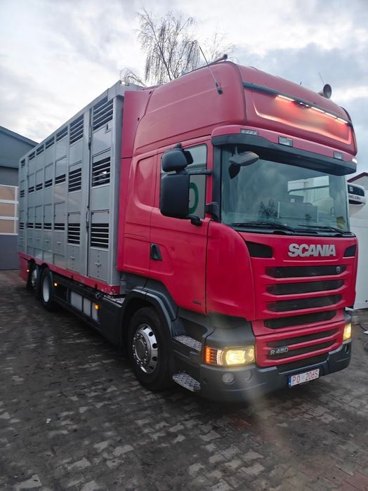 Scania R450 * do żywca * do bydła * świniarka *do trzody  scania R450*do żywca*bydła*swiniarka