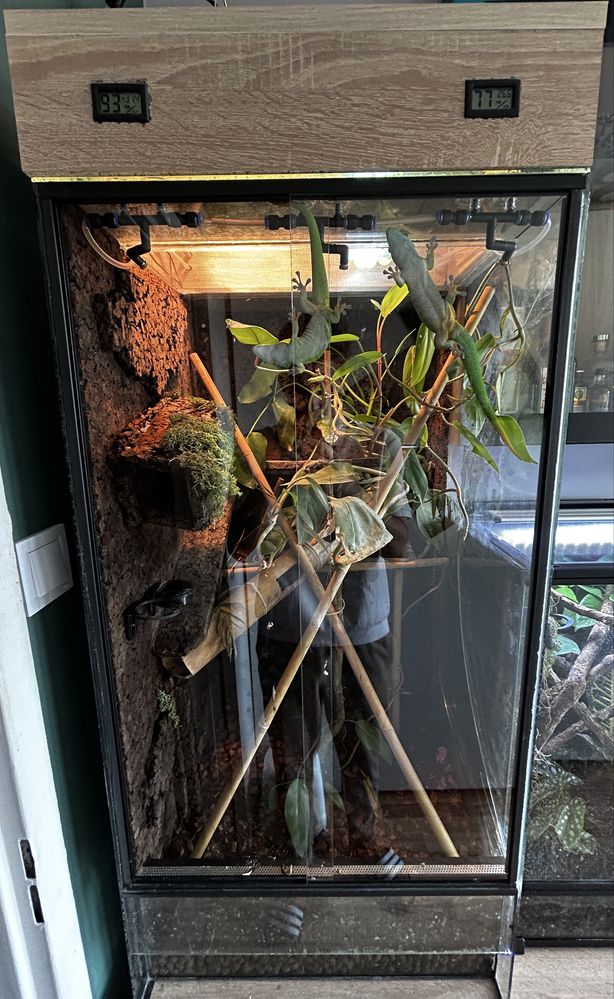 Terrarium 50x50x100