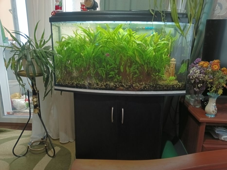 Продам акваріум  з тумбой