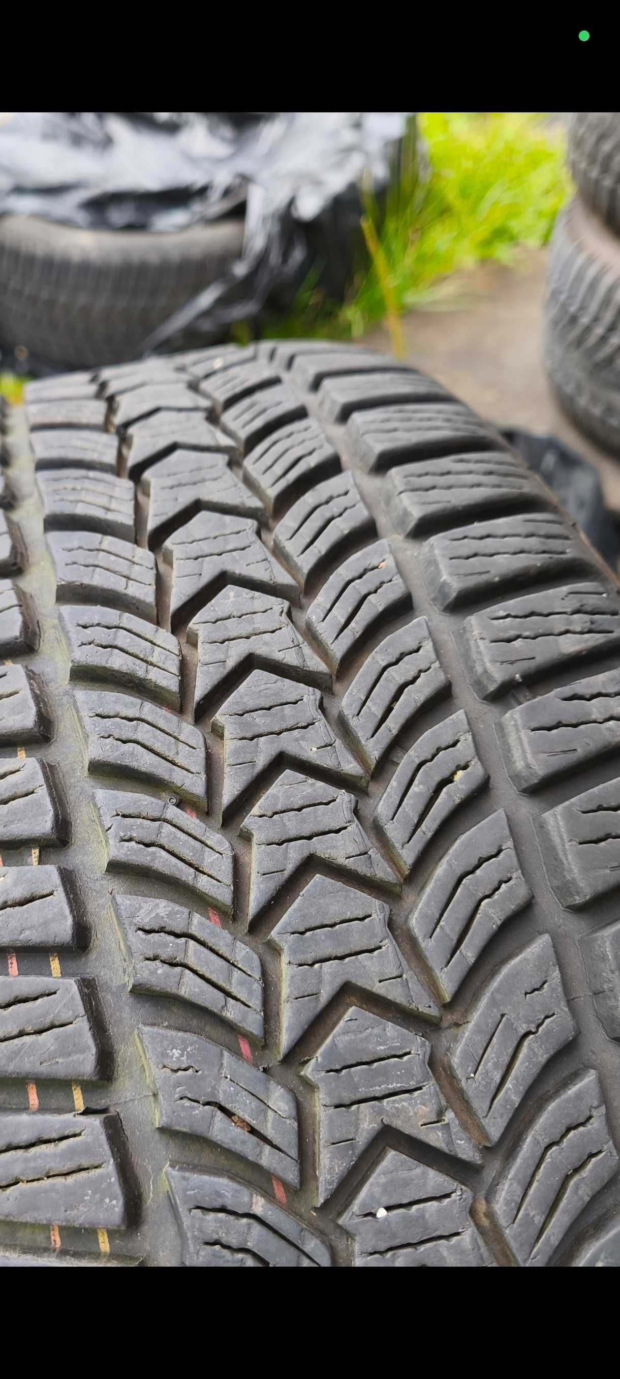 Opony frigo Dębica 16 205/55 R16