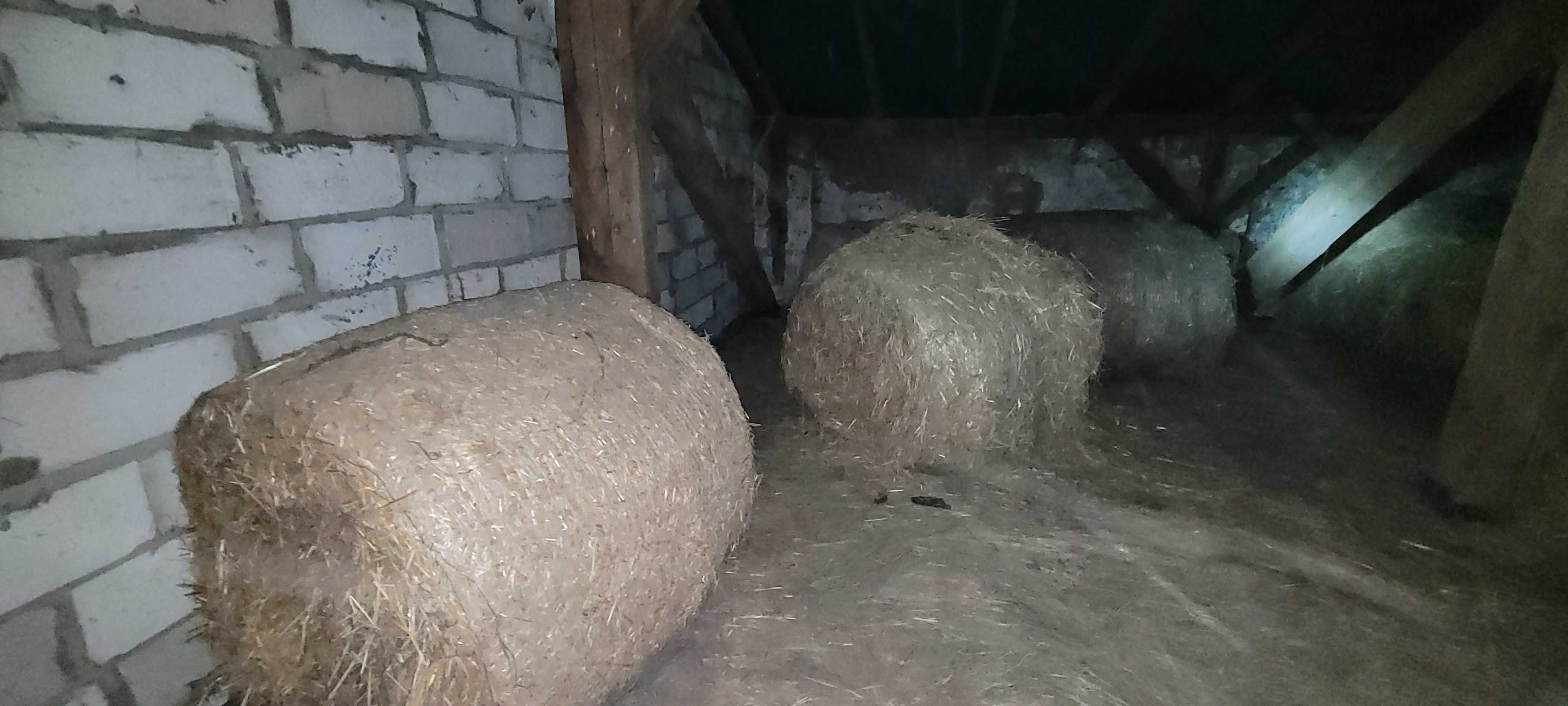 Słoma, czysta w różnych ilościach ATRAKCYJNA CENA