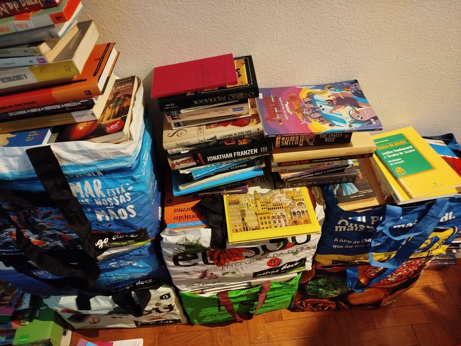 Lote de 505 livros