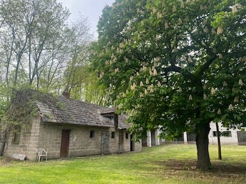 Grunty rolne z zabudowaniami Wincentów gm. Rusiec, woj. Łódzkie