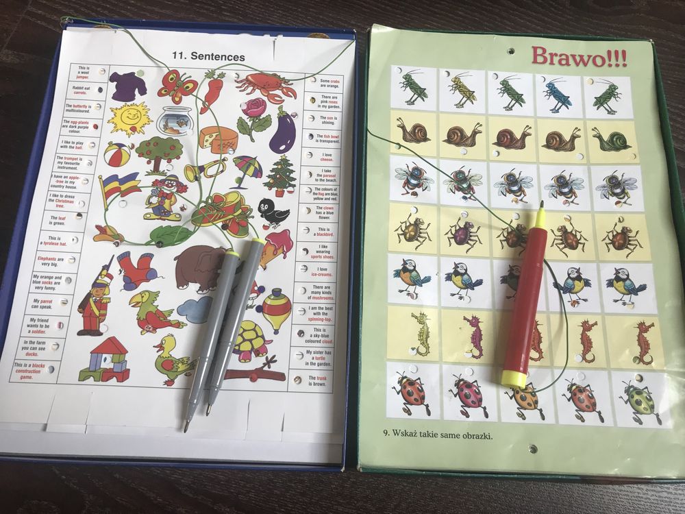 Przedszkolak i Język Angielski gra edukacyjna , elektroniczna