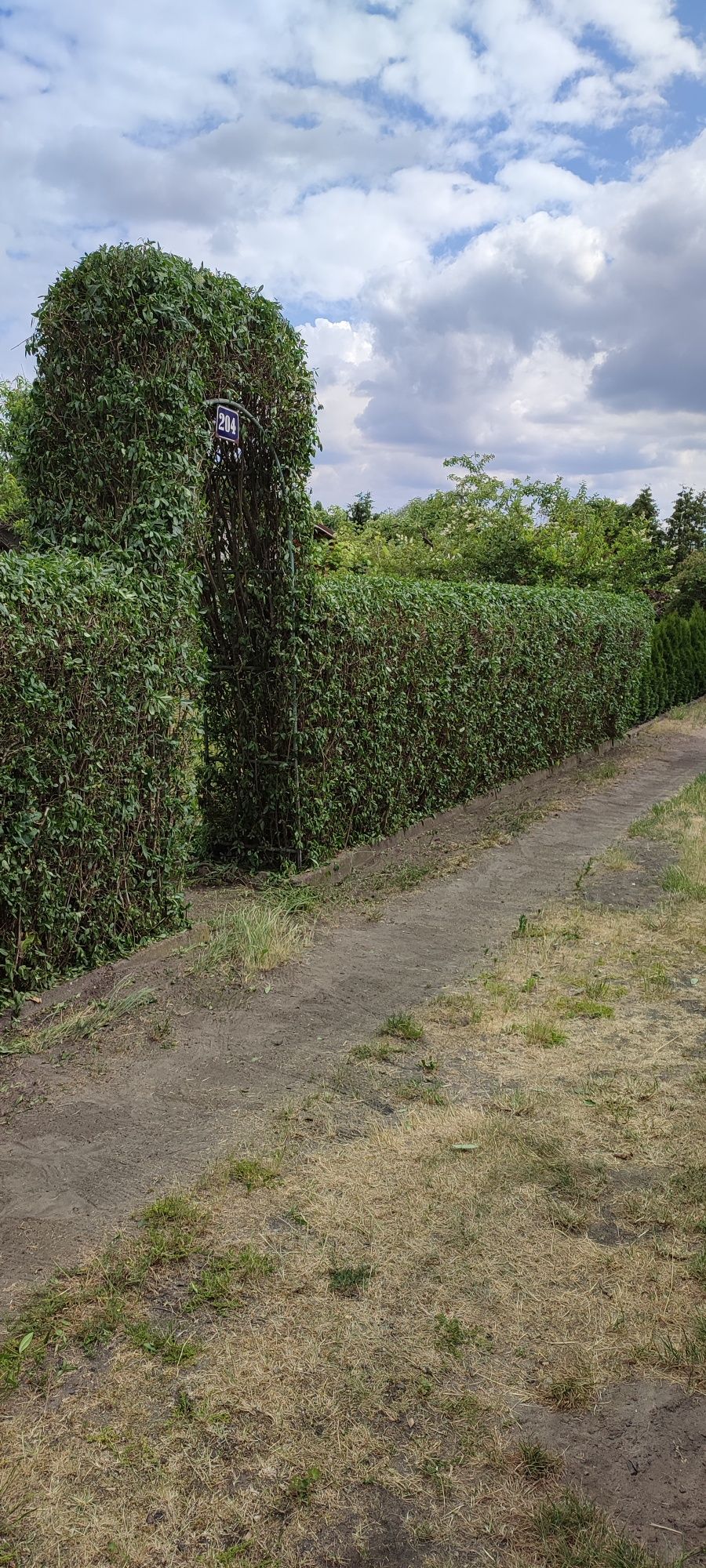 Działka rekreacyjna rod dozamet obok szpitala