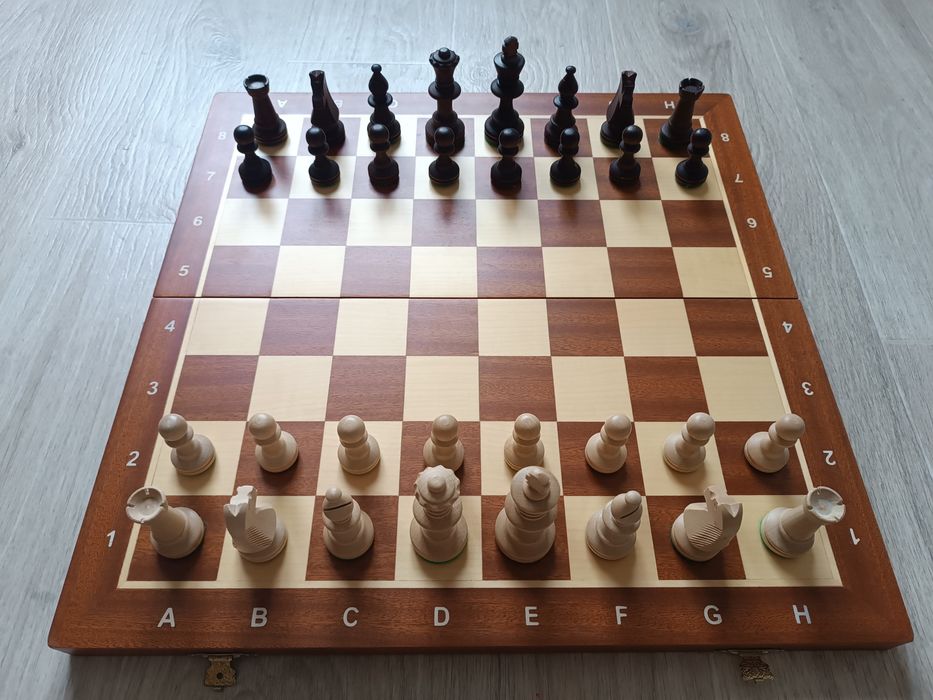 Шахматы турнирные