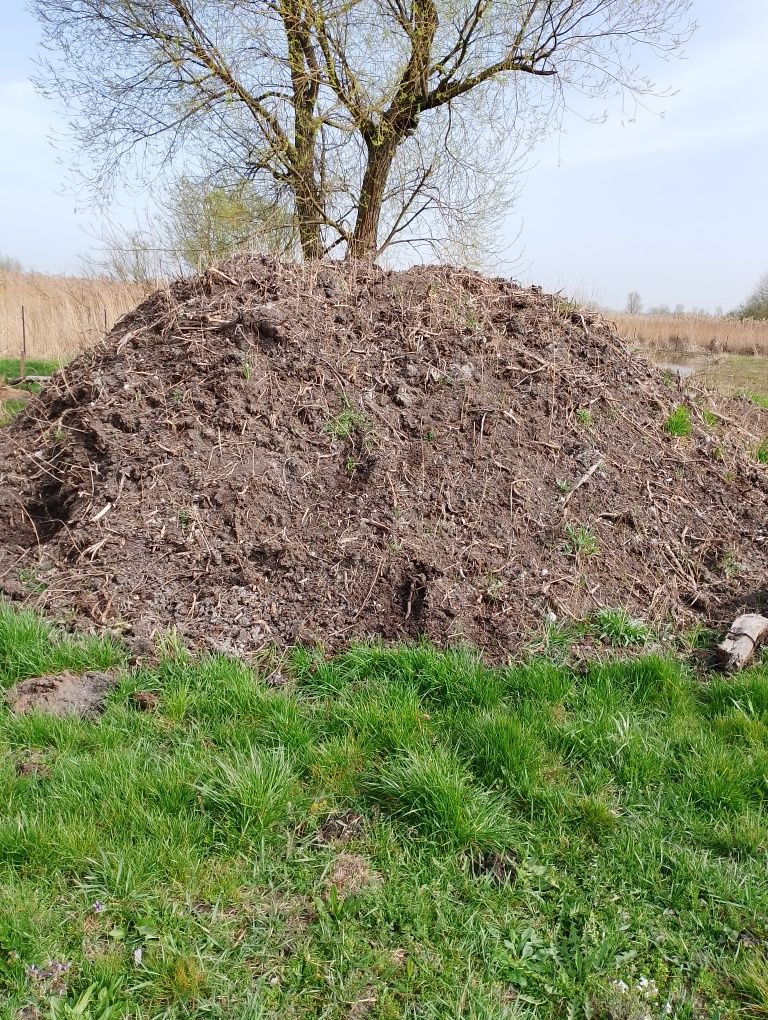Sprzedam ziemię torfową