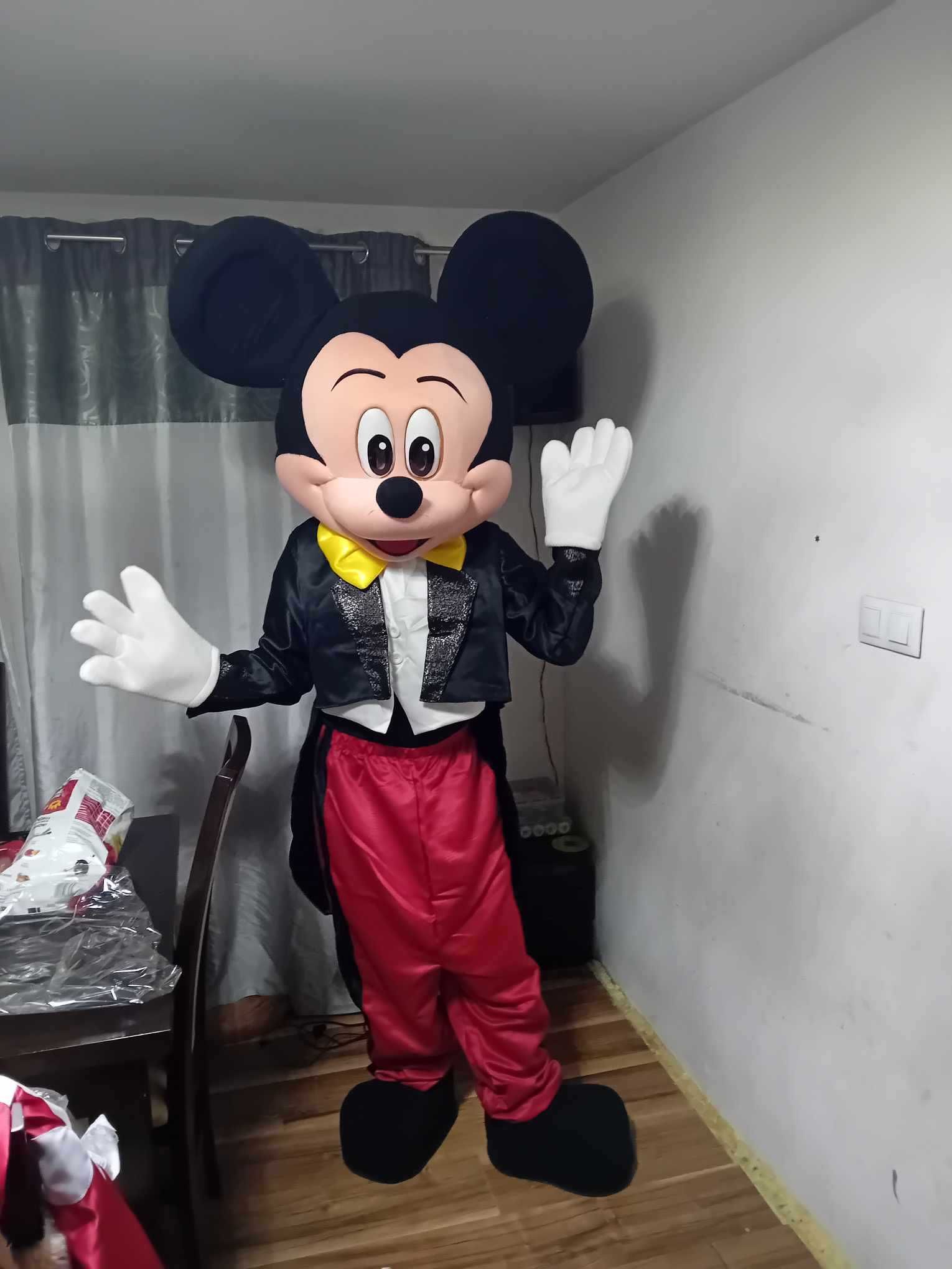 Maskotki reklamowe Myszka Mickey i Miniee
