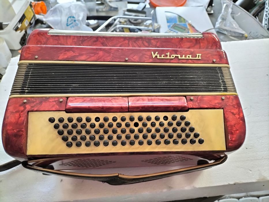 Akordeon wiktoria2