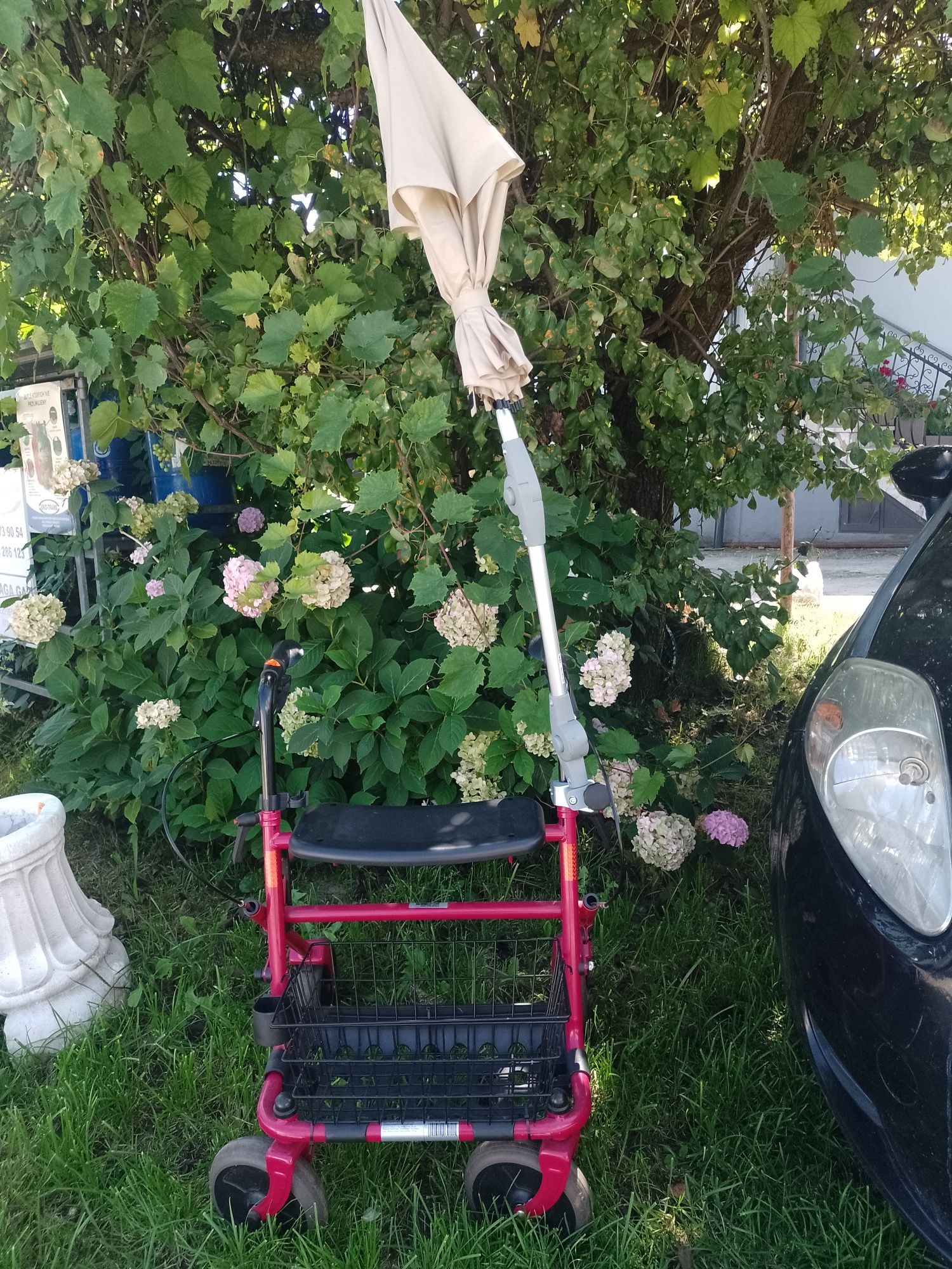 Chodzik dla seniora