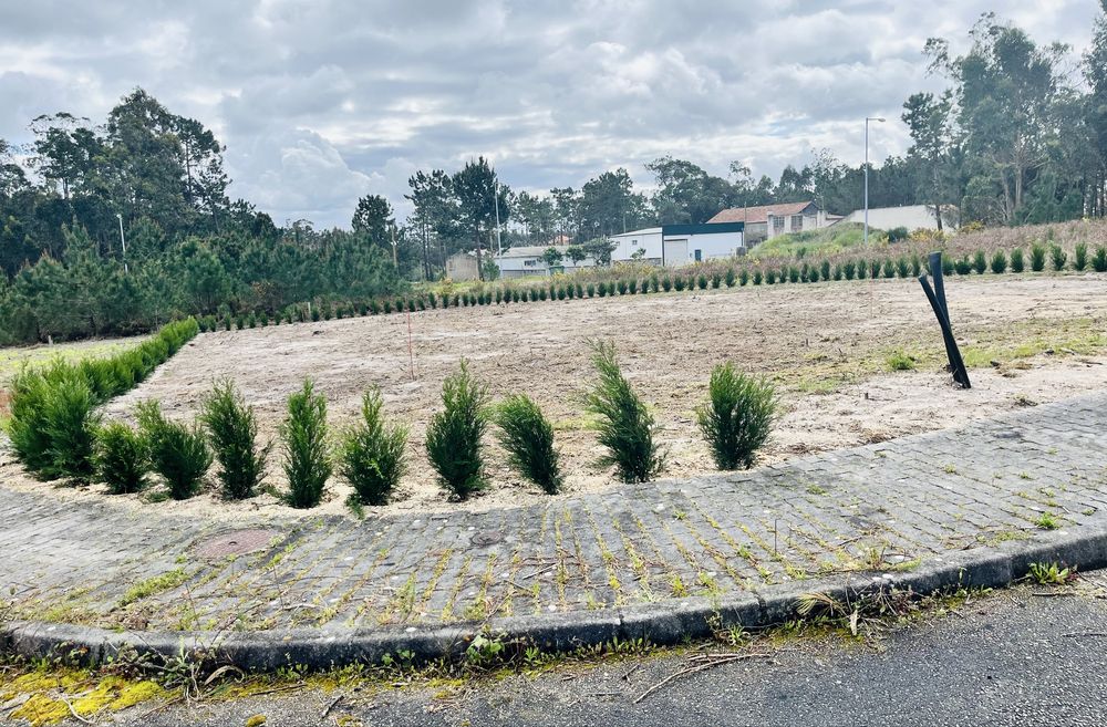 Terreno Urbano com cerca viva!600mts