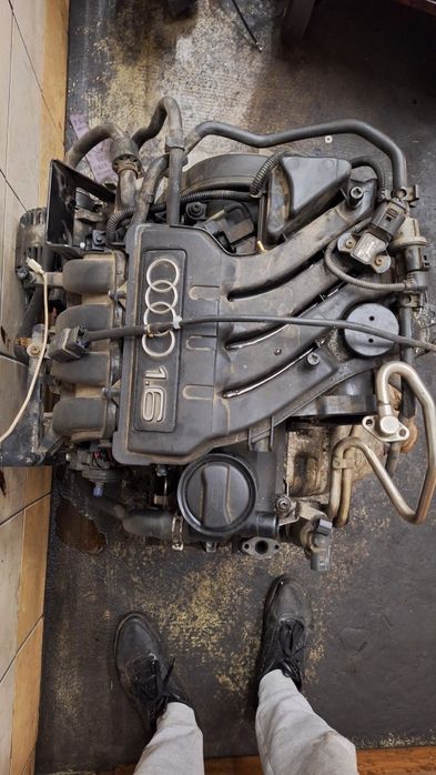 Silnik 1.6mpi bgu kompletny vw skoda audi.