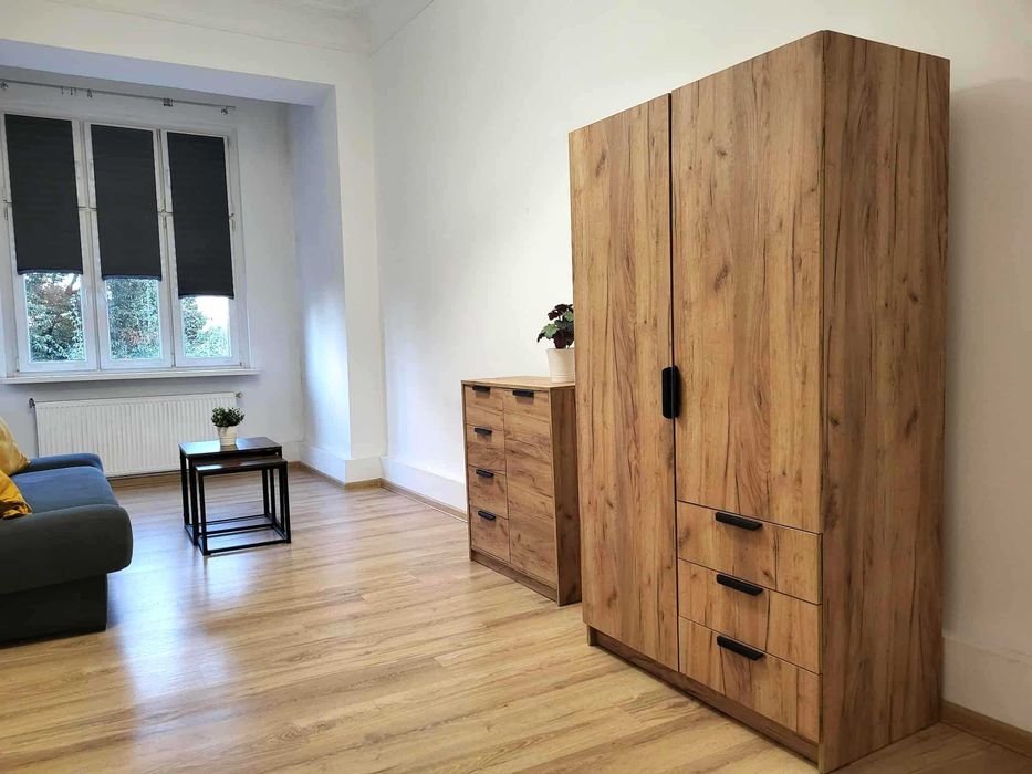 Duży pokój 1-osobowy w Centrum