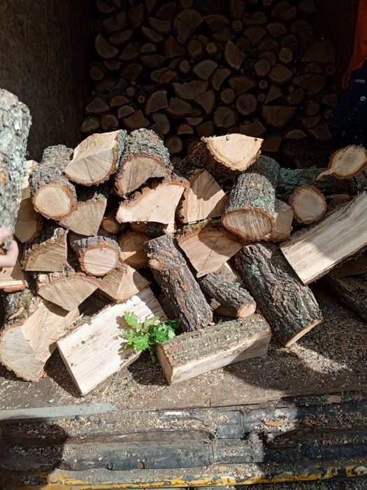 Купить дрова з доставкою