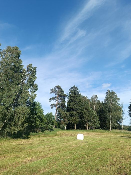 16ha, Działka rolna Wydminy