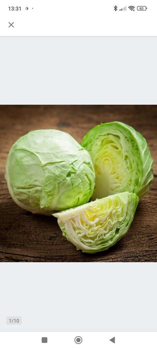 Kapusta do szatkowania