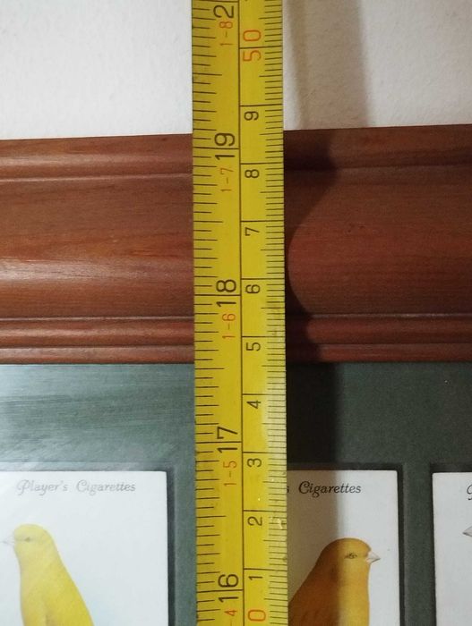 Quadro Pássaros - Colecção 50 Cartões Cigarros