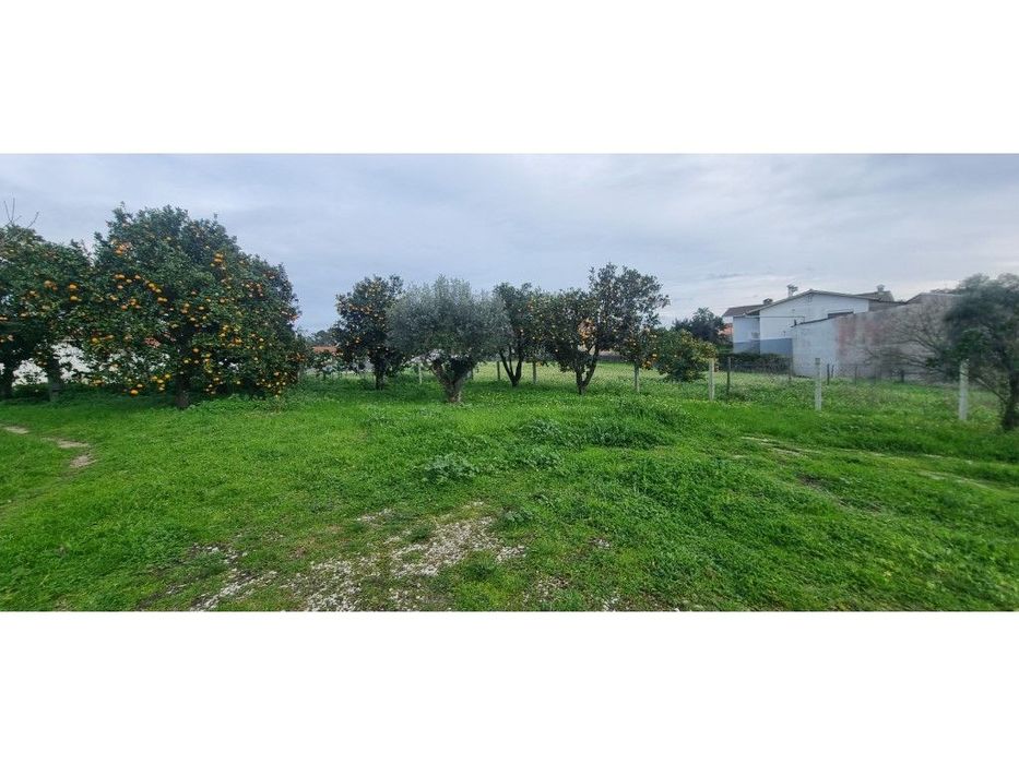 Terreno para construção, bem localizado, zona tranquila e com bons ...