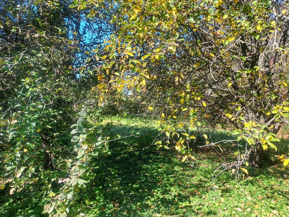 Продам будинок з земельною ділянкою