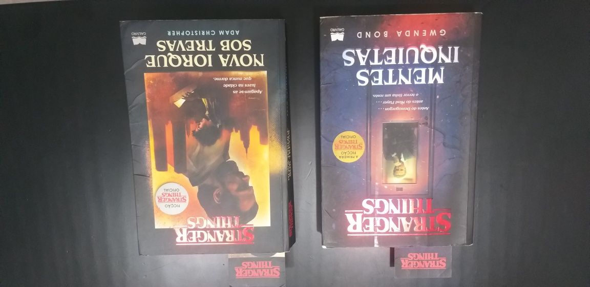 Livros Stranger Things