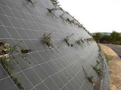 AGROTKANINA 100g Czarna / Zielona