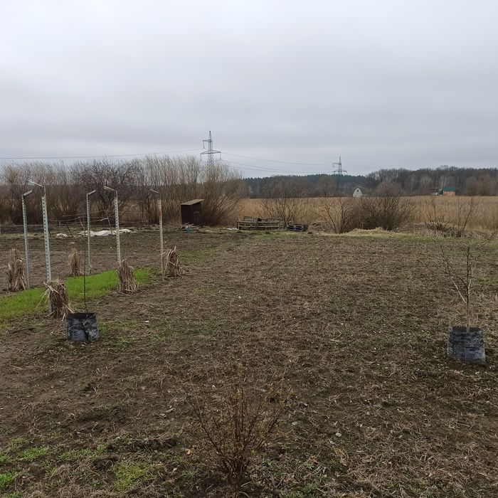 Дача, ділянка 18 соток+сад Олдиш