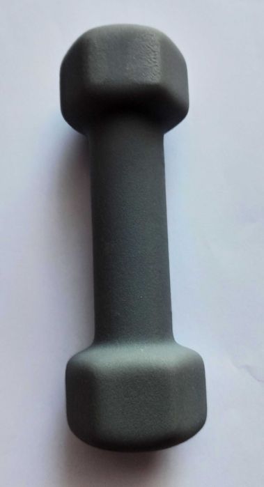 UPFIT hantel o wadze 1 kg