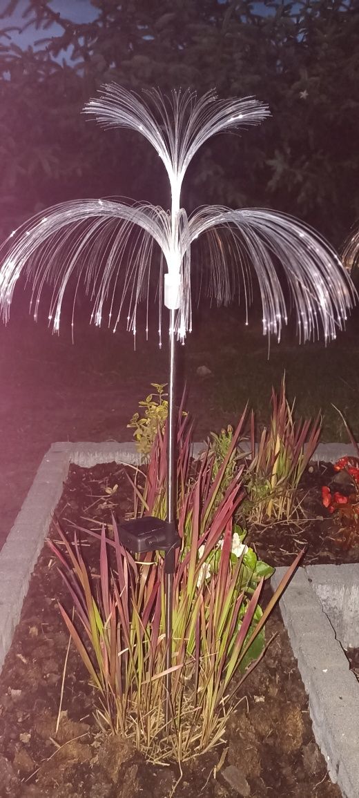 Lampki LED solarne