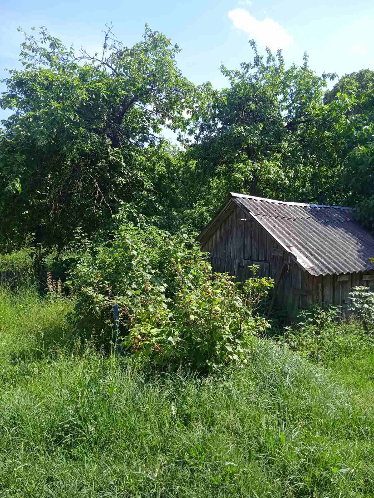 Продам дом с большим участком