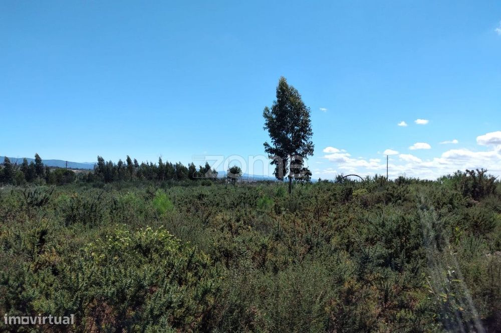 Terreno 2.196m2 em Paranhos - Seia