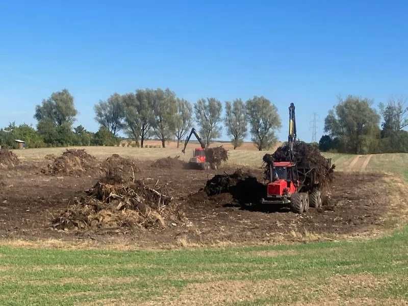 Ścinka drzew Mulczowanie Czyszczenie działek