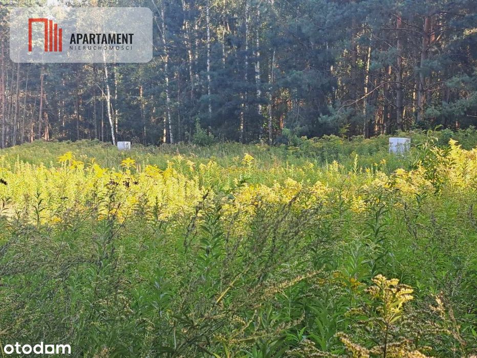 1222 m2 z widokiem na las!