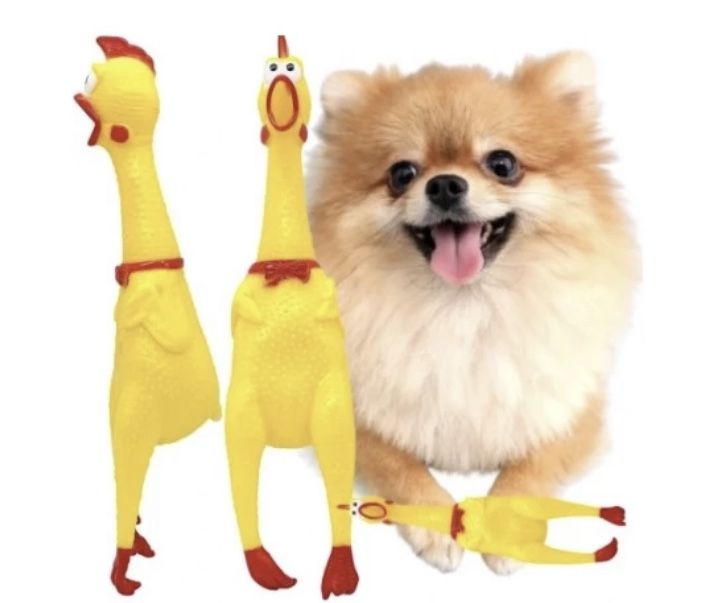 Kurczak piszczący dla psa 30 cm