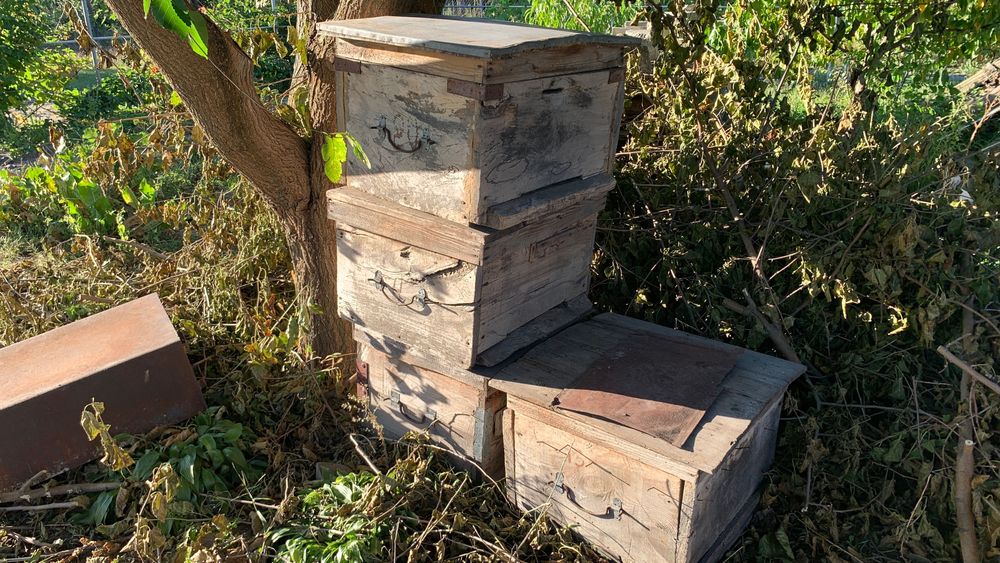 Улики для пчёл б/у