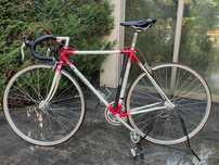 Clássica altis campagnolo vermelha e branca, completa