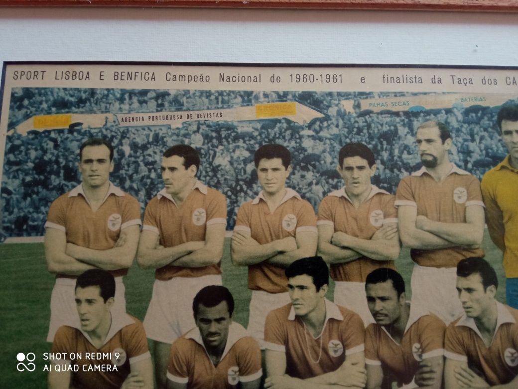 Quadro Benfica anos 60