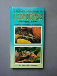 Akwarystyka kiryski Corydoras and related catfishes burgess warren