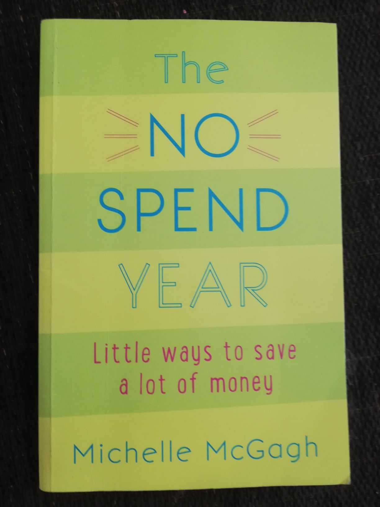 Livro The no spend year