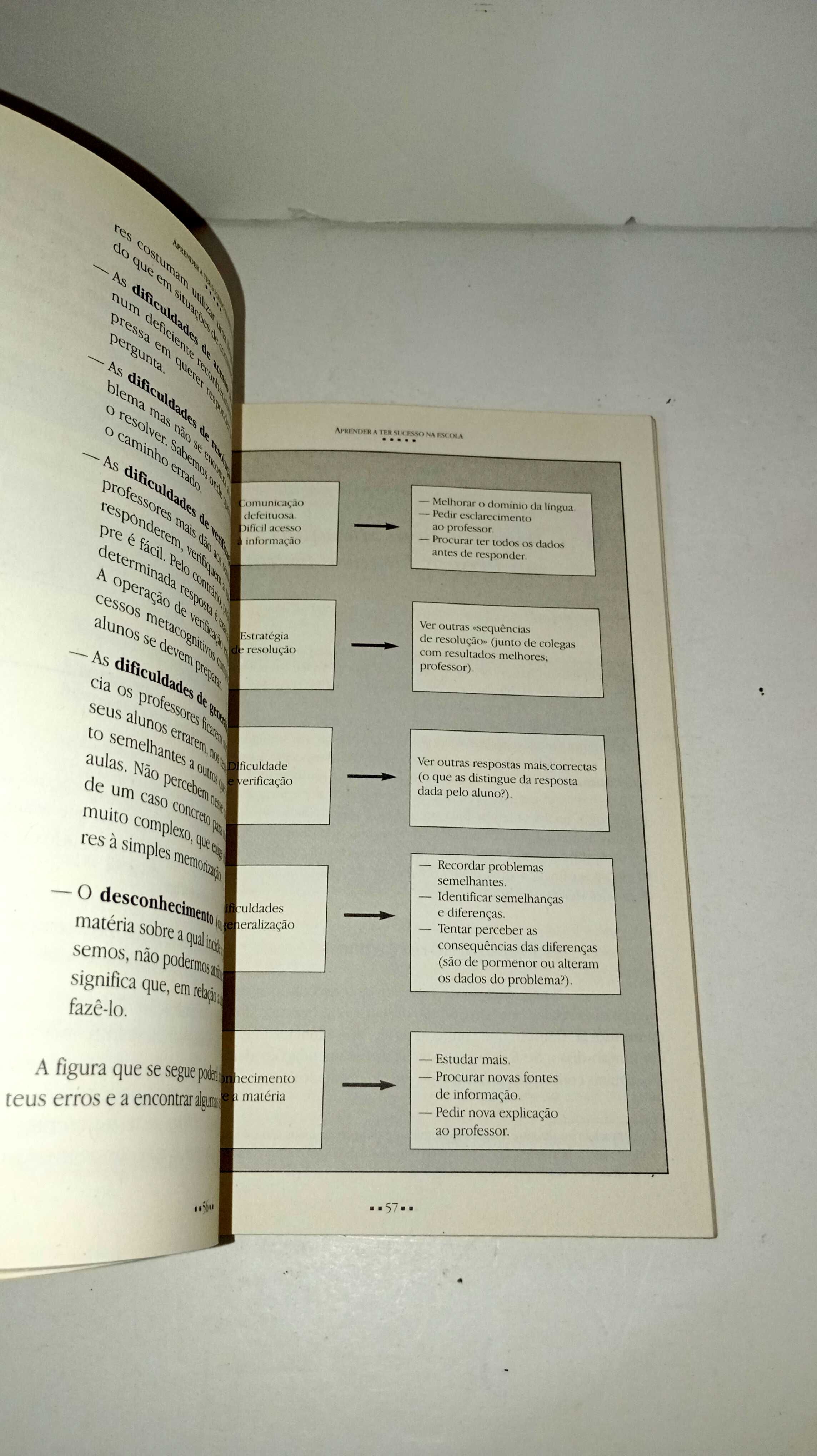 Aprender a ter Sucesso na escola