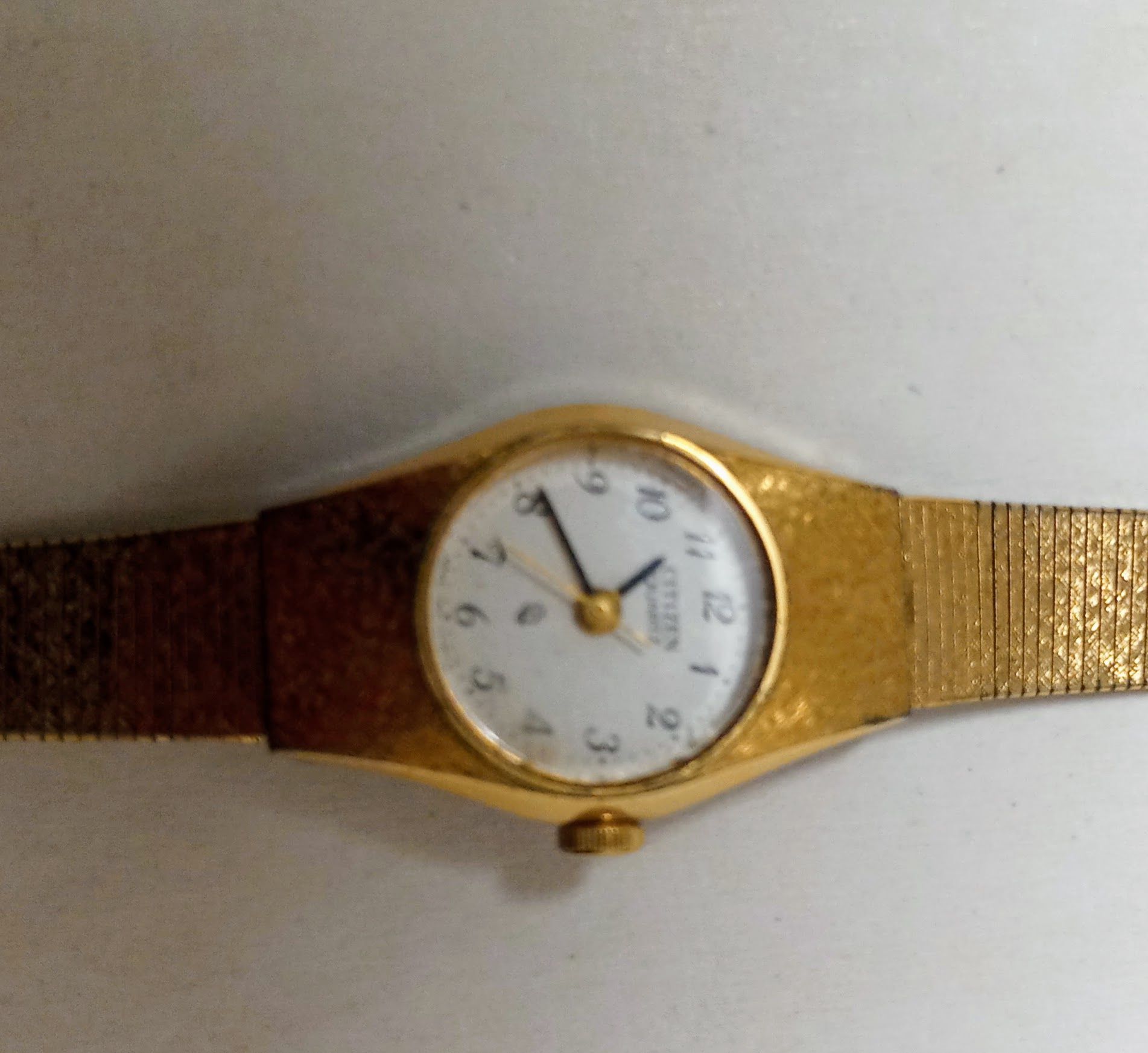 Citizen Lady Bracelete(plaque CTTincluído)