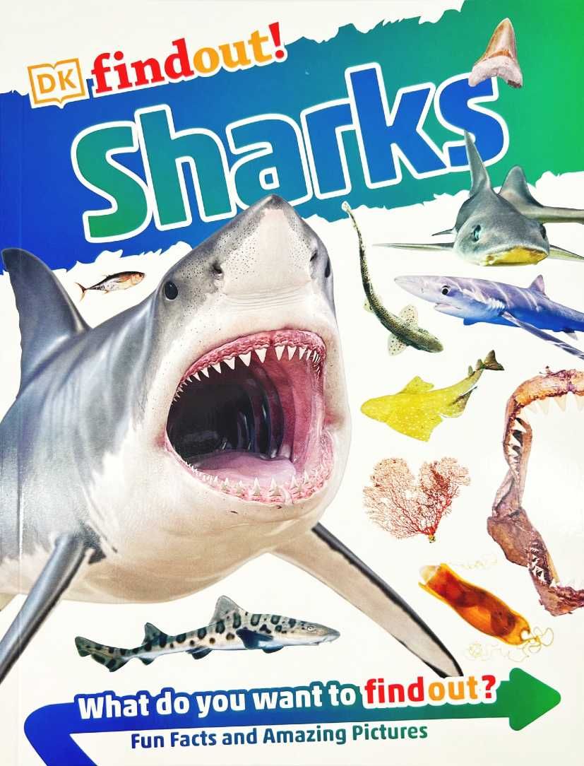 NOWA	DK Findout! Sharks książka po angielsku dla dzieci