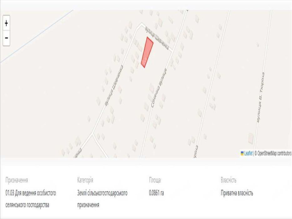 Землі сільськогосподарського призначення в с.Ваці.