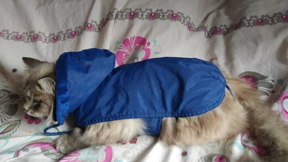 зимняя теплая одежда для собак.жилетка средних, мелких  пород,дождевик