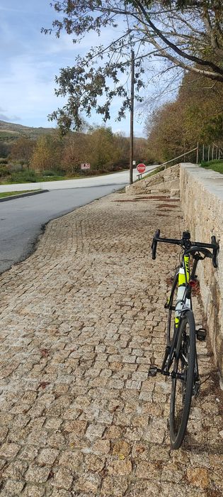 Giant Advanced TCR carbono