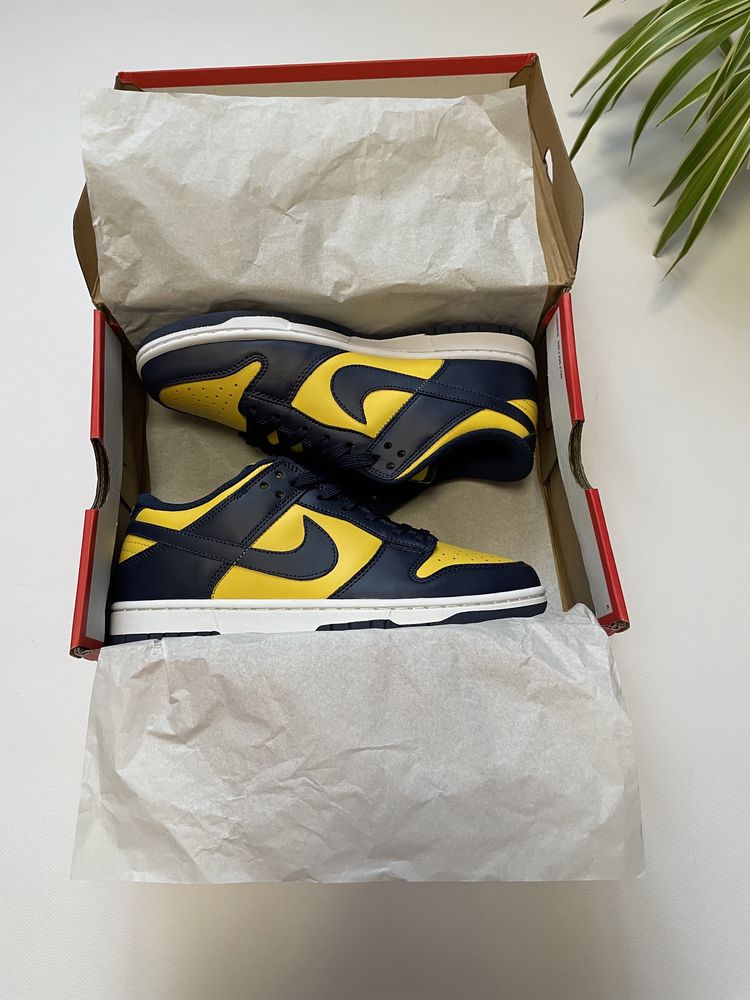 Nike dunk Michigan 42