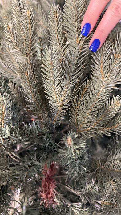 Новорічна Ялинка