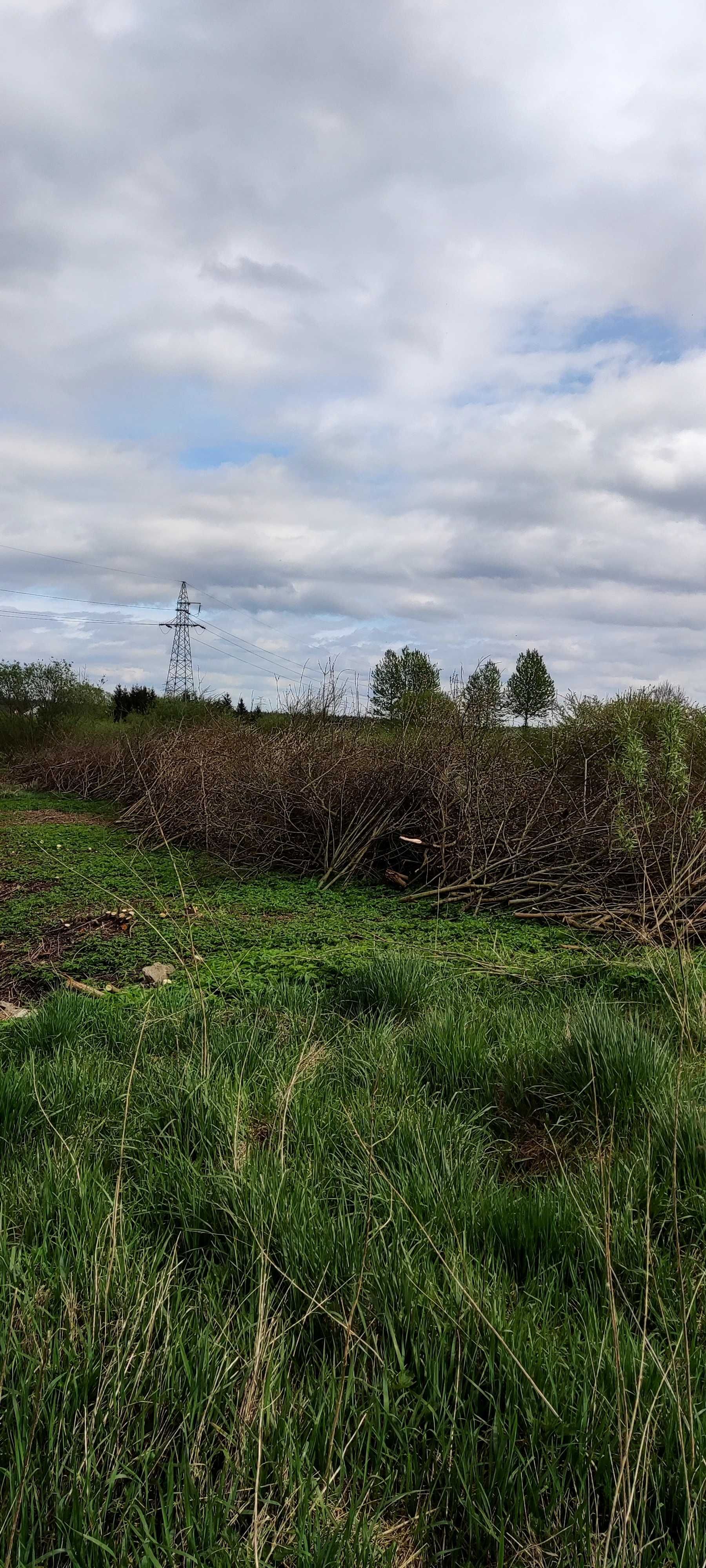 Gałęzie opałowe Starogard Gdański