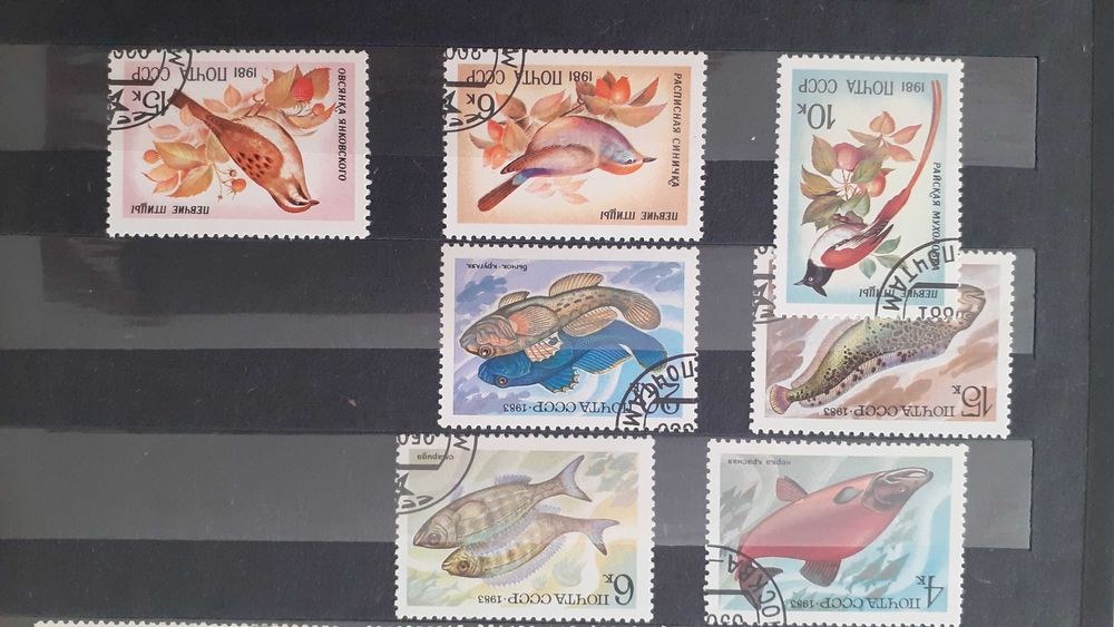 znaczki polskie i zagraniczne zwierzęta