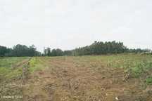 Terreno  para venda